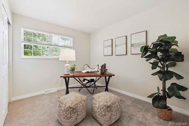 9054 Dover St, Westminster, CO 80021 - photo 9