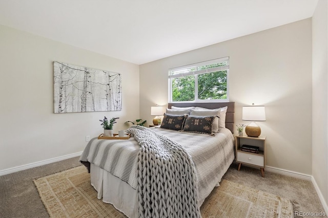 9054 Dover St, Westminster, CO 80021 - photo 10