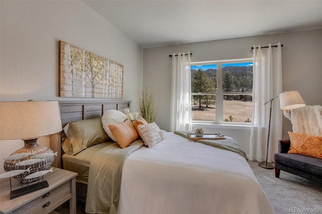 bedroom featuring carpet