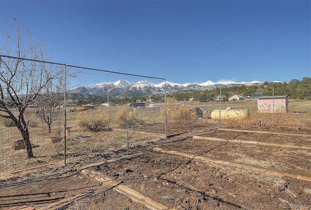 view of yard with a mountain view