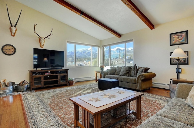 42 Holiday Hills Blvd, Howard, CO 81233 - living area with a baseboard radiator, lofted ceiling with beams, baseboard heating, and wood finished floors