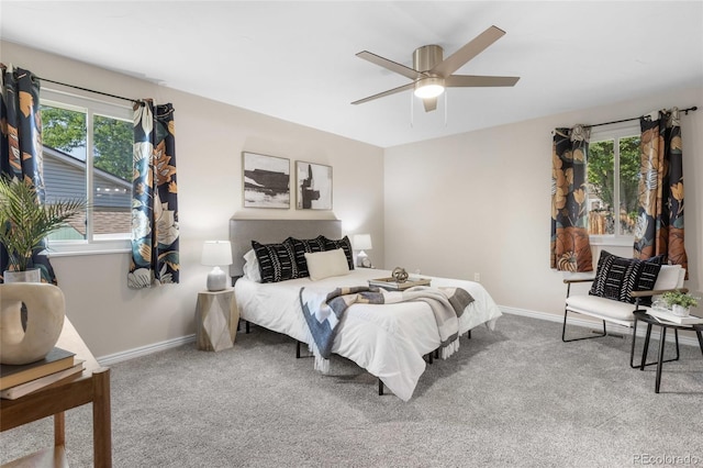 8195 Field Ct, Arvada, CO 80005 - photo 18