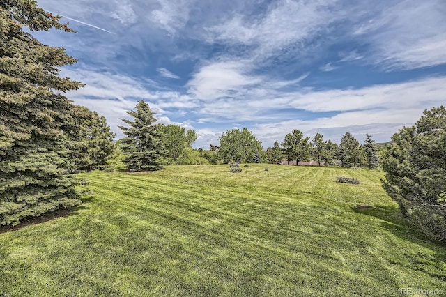 6451 Crestbrook Dr, Morrison, CO 80465 - view of green lawn with a view of countryside