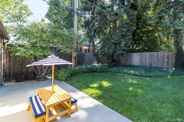 view of yard with a patio area