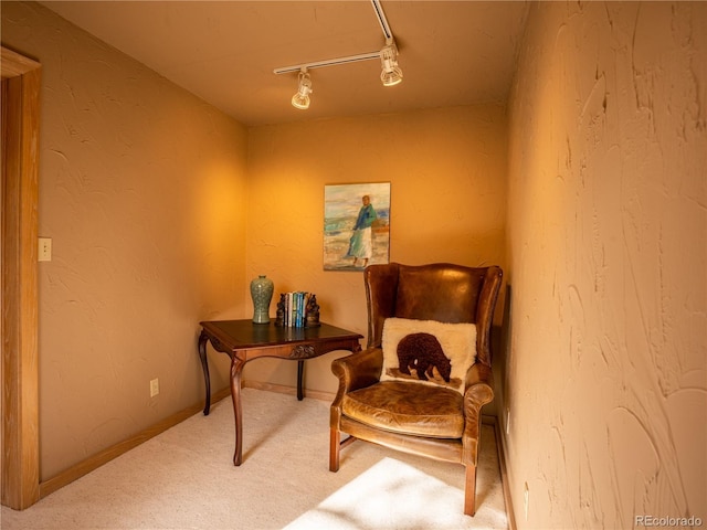 living area featuring rail lighting and carpet