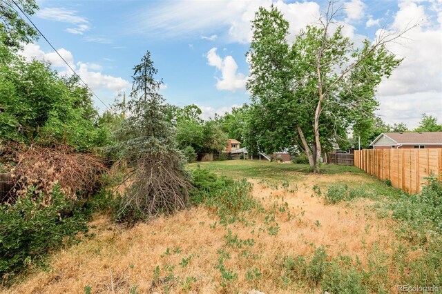11723 Quam Dr, Northglenn, CO 80233 - photo 37