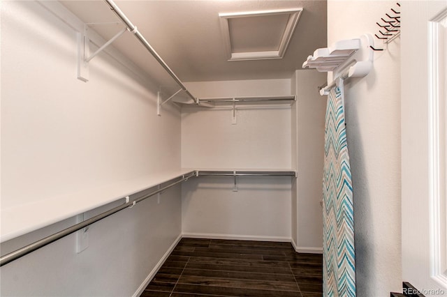 5597 S Buchanan St, Aurora, CO 80016 - walk in closet with attic access and dark wood-style flooring
