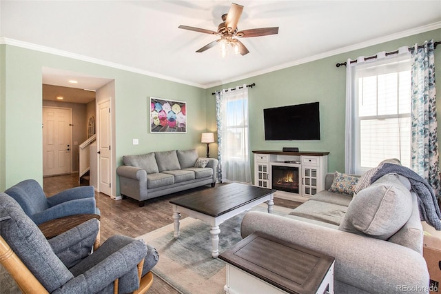 living room featuring crown molding, ceiling fan, hardwood / wood-style floors, and a healthy amount of sunlight