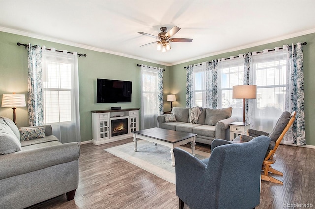 living room featuring hardwood / wood-style floors, plenty of natural light, ornamental molding, and ceiling fan