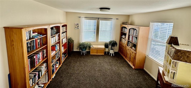 living area with dark colored carpet