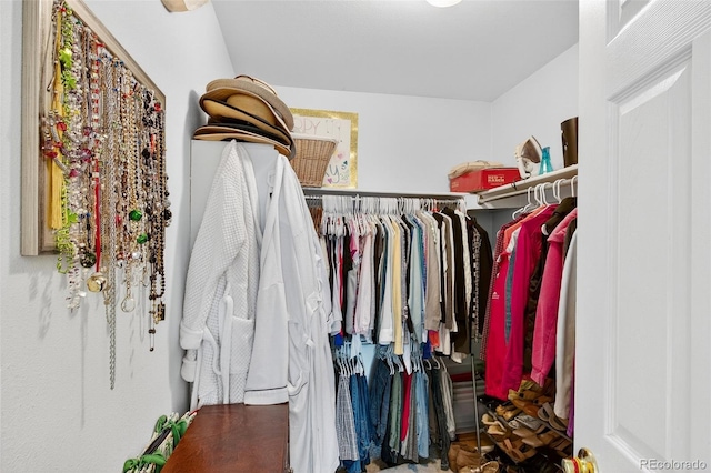 10328 W Crestone Mtn, Littleton, CO 80127 - view of walk in closet