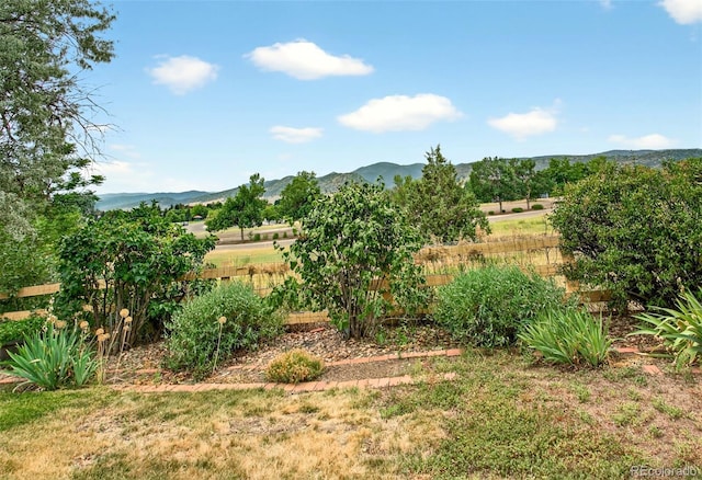 10328 W Crestone Mtn, Littleton, CO 80127 - view of yard with a mountain view