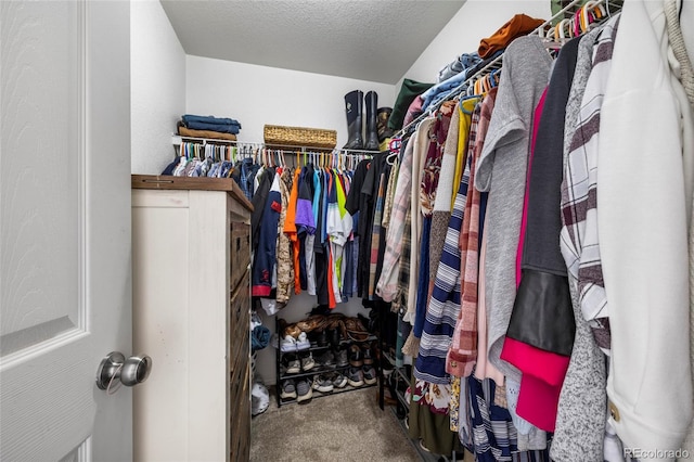 spacious closet with carpet