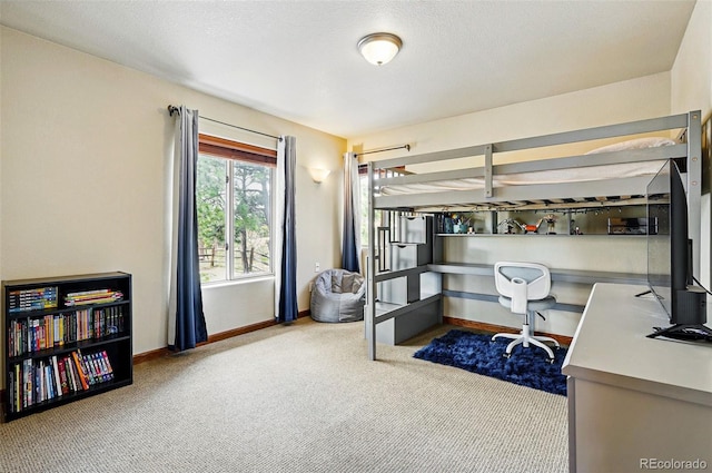 19640 Four Winds Way, Monument, CO 80132 - bedroom featuring carpet and a desk