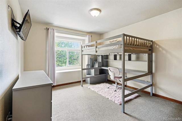 19640 Four Winds Way, Monument, CO 80132 - carpeted bedroom with baseboards