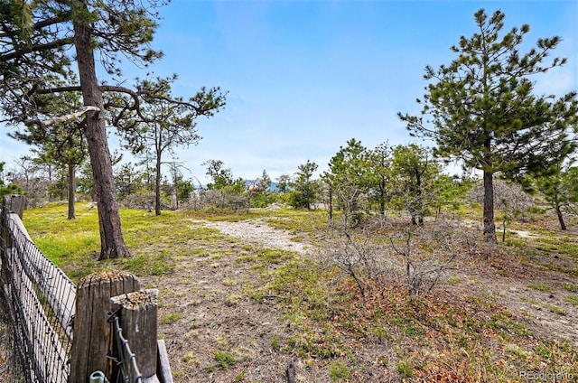 19640 Four Winds Way, Monument, CO 80132 - view of yard