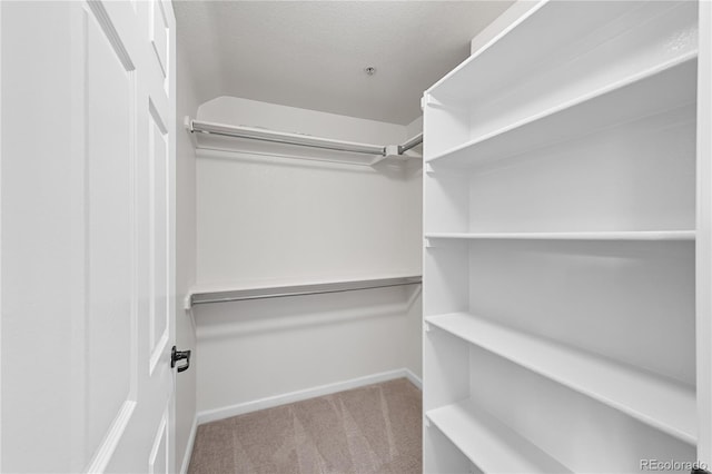 9590 E Florida Ave Unit 1025, Denver, CO 80247 - walk in closet with carpet floors