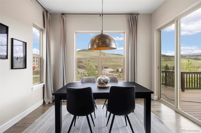 dining space featuring plenty of natural light, dark wood-style floors, and baseboards