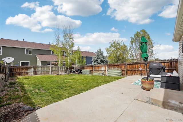 view of yard with a patio and a fenced backyard