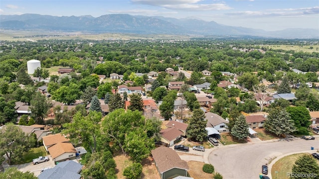 6615 Ocean Ave, Colorado Springs, CO 80911 - photo 24