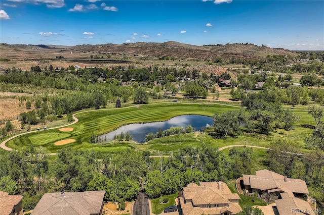 910 Owl Grove Pl, Loveland, CO 80537 - photo 3