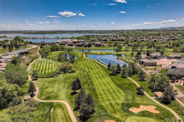910 Owl Grove Pl, Loveland, CO 80537 - photo 4
