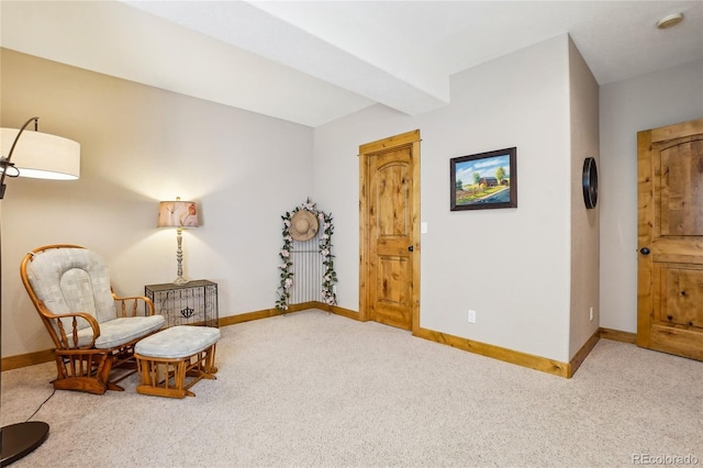 910 Owl Grove Pl, Loveland, CO 80537 - photo 43