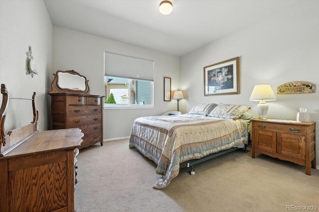 10091 Red Sage Dr, Colorado Springs, CO 80920 - photo 23