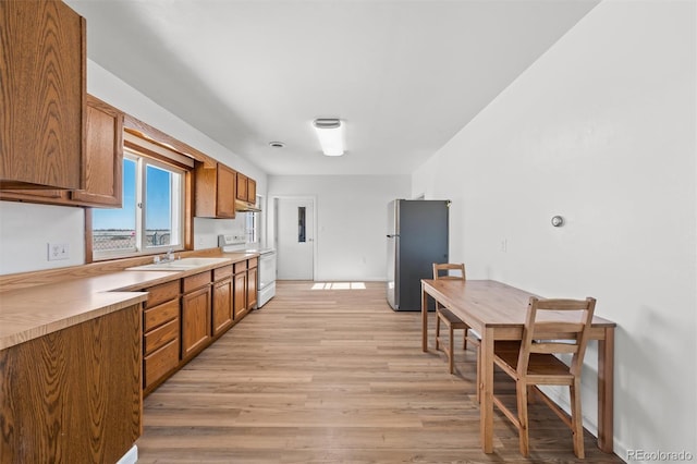 kitchen with light hardwood / wood-style flooring, sink, electric stove, and stainless steel fridge