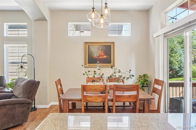 3037 Woodbriar Dr, Highlands Ranch, CO 80126 - photo 11