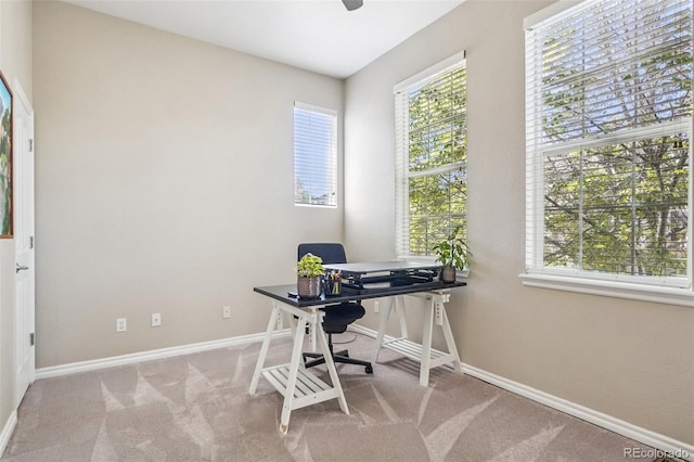 3037 Woodbriar Dr, Highlands Ranch, CO 80126 - photo 20