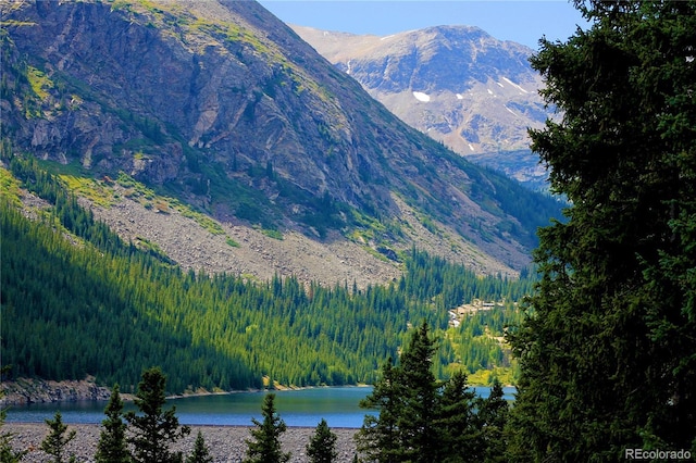 926 Nuthatch Dr, Alma, CO 80420 - photo 4