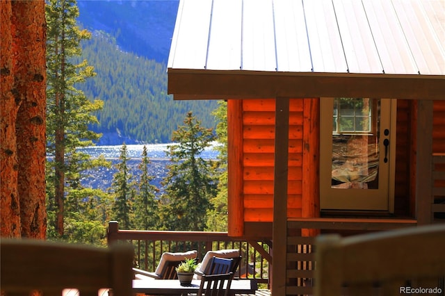 926 Nuthatch Dr, Alma, CO 80420 - photo 5