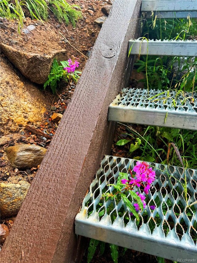 926 Nuthatch Dr, Alma, CO 80420 - photo 35