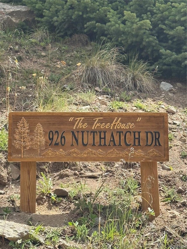 926 Nuthatch Dr, Alma, CO 80420 - photo 36