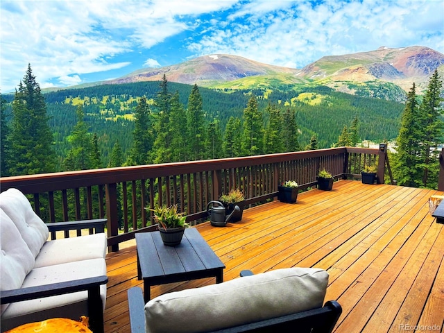926 Nuthatch Dr, Alma, CO 80420 - photo 10