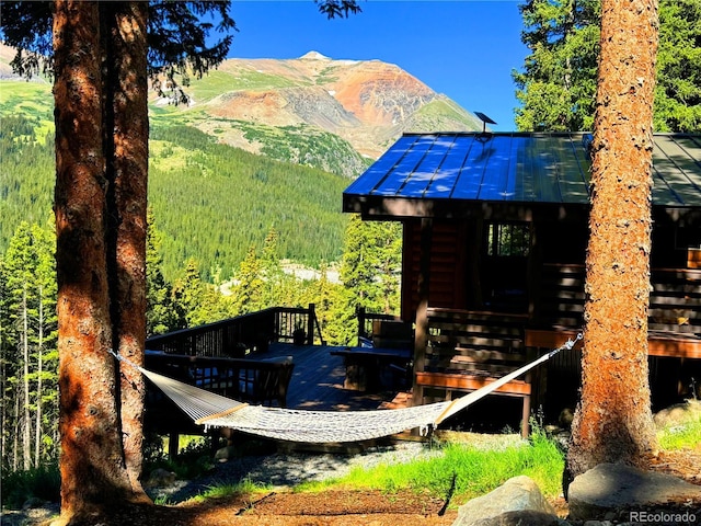 926 Nuthatch Dr, Alma, CO 80420 - photo 11