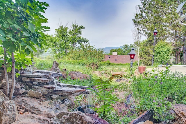 8300 W 67th Ave, Arvada, CO 80004 - view of yard featuring a mountain view