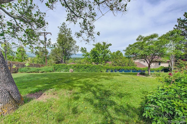 8300 W 67th Ave, Arvada, CO 80004 - view of yard