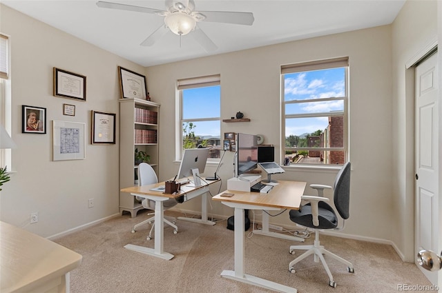 7828 W 54th Ave, Arvada, CO 80002 - office with carpet floors, ceiling fan, and baseboards