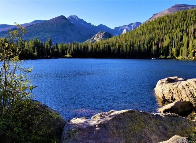 view of water feature featuring a mountain view and a forest view