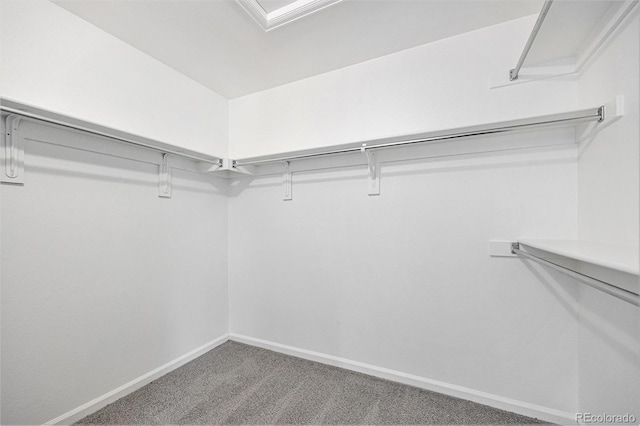 2238 S Nile Ct, Aurora, CO 80014 - photo 12