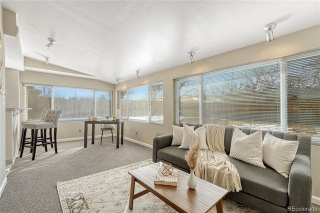 carpeted living room with lofted ceiling and a textured ceiling