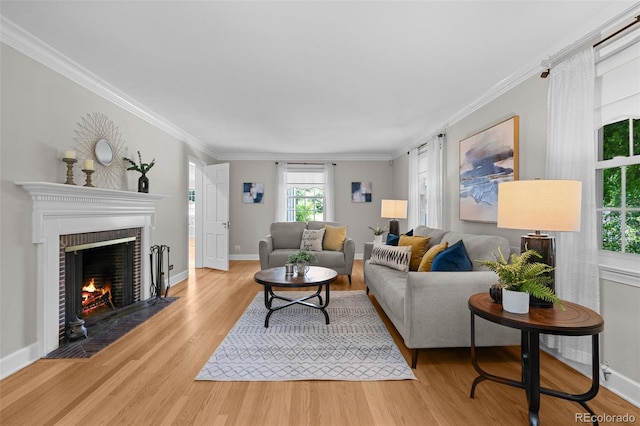 1033 Estes St, Lakewood, CO 80215 - living area featuring light wood-style floors, a fireplace, and crown molding
