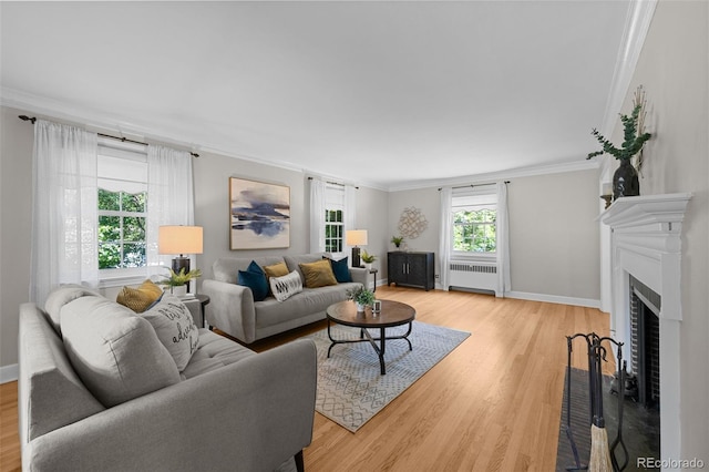 1033 Estes St, Lakewood, CO 80215 - living room with radiator, crown molding, light wood-style flooring, and a fireplace with flush hearth