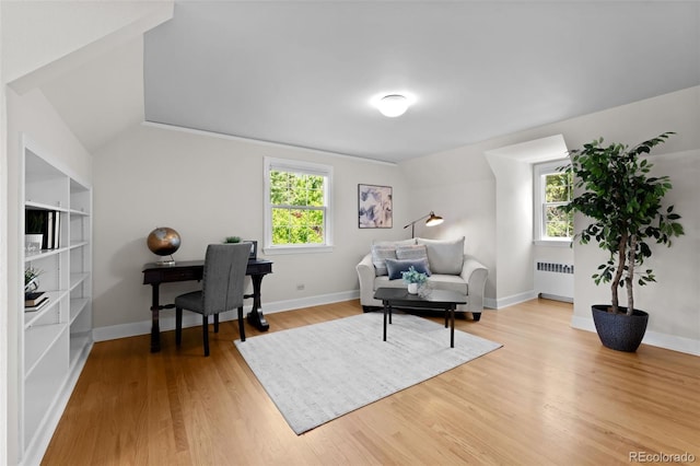 1033 Estes St, Lakewood, CO 80215 - office area featuring radiator, light wood-type flooring, and lofted ceiling