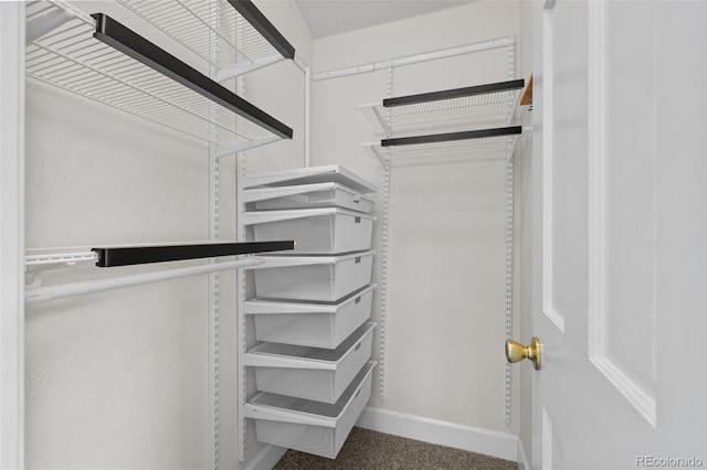 1033 Estes St, Lakewood, CO 80215 - view of walk in closet
