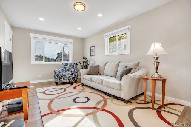 living room featuring light wood-type flooring and plenty of natural light