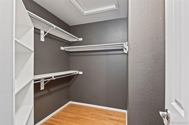 8829 S Dudley St, Littleton, CO 80128 - spacious closet with wood finished floors and attic access