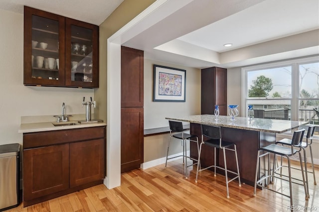 6062 S Emporia Cir, Englewood, CO 80111 - bar with a sink, recessed lighting, baseboards, light wood-type flooring, and a tray ceiling
